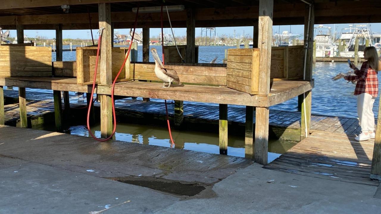 Resort Lodging At Venice Marina W/ Wifi + Private Dock Екстер'єр фото